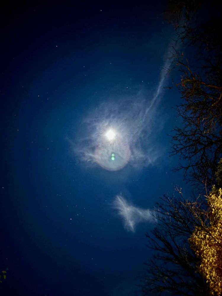 Mond mit leuchtendem Halo und Wolken vor dunklem Nachthimmel, umgeben von Sternen und Baumzweigen am Rand.