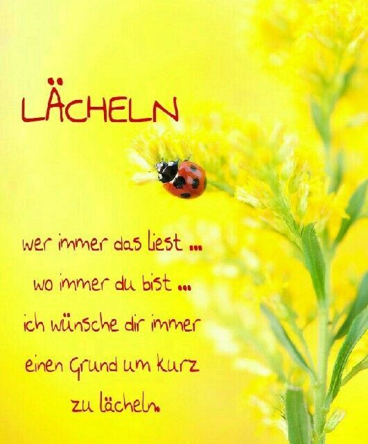 Lächeln! 
Wer immer das liest,
Wer immer du bist,
Ich wünsche dir immer einen Grund kurz zu Lächeln! 

Daneben klettert ein Marienkäfer an einer gelben Blume herauf.