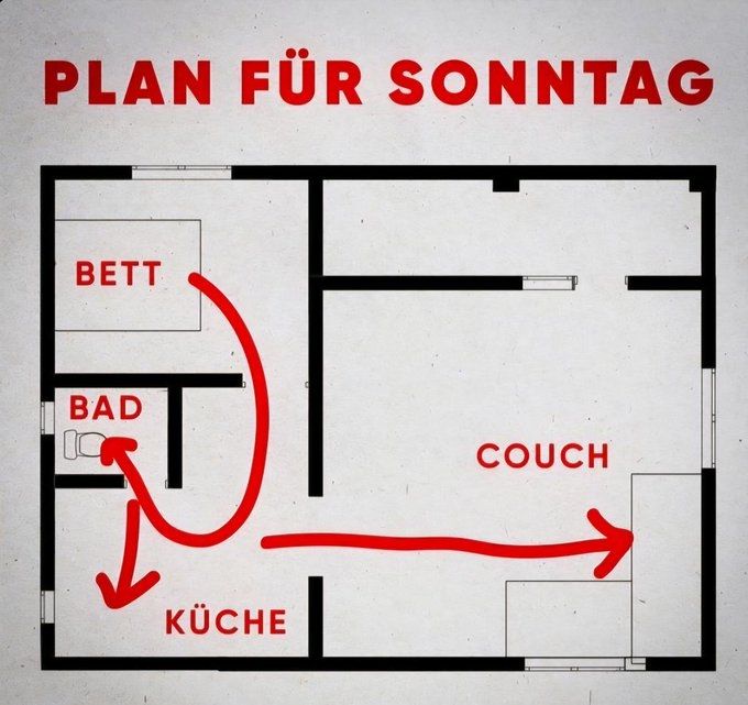 Der Plan für Sonntag 

Ein Wohnungsskizze die mit roten Bewegungspfeilen gekennzeichnet ist. 