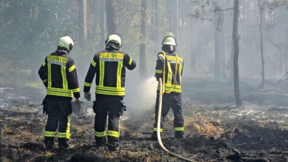 Waldbrand in der Nähe des "Tropical Islands" ausgebrochen