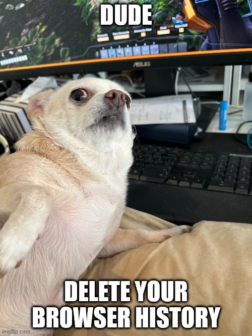 Picture of a dog with the text "Dude delete your browser history" in text.
