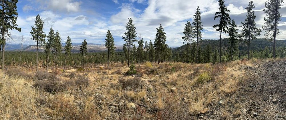 Panorama photo of mountains in Washington