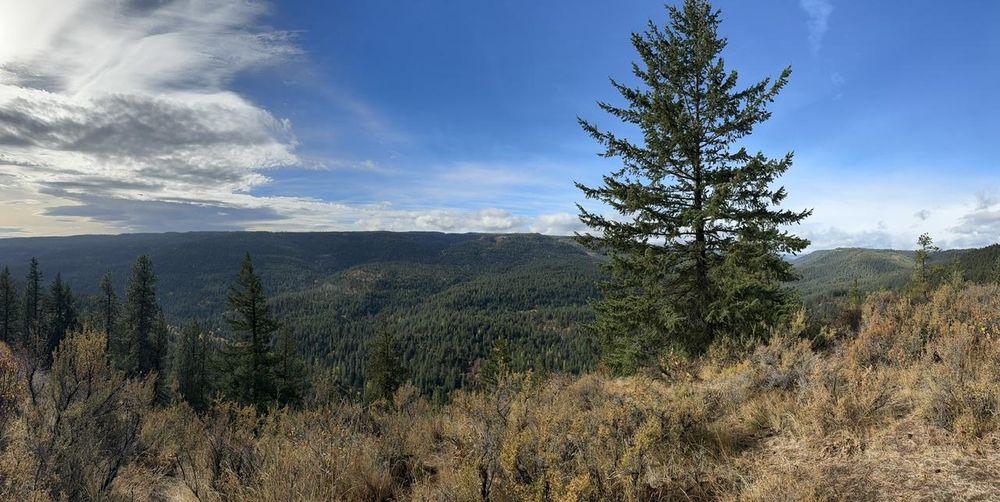 Panorama photo of mountains in Washington