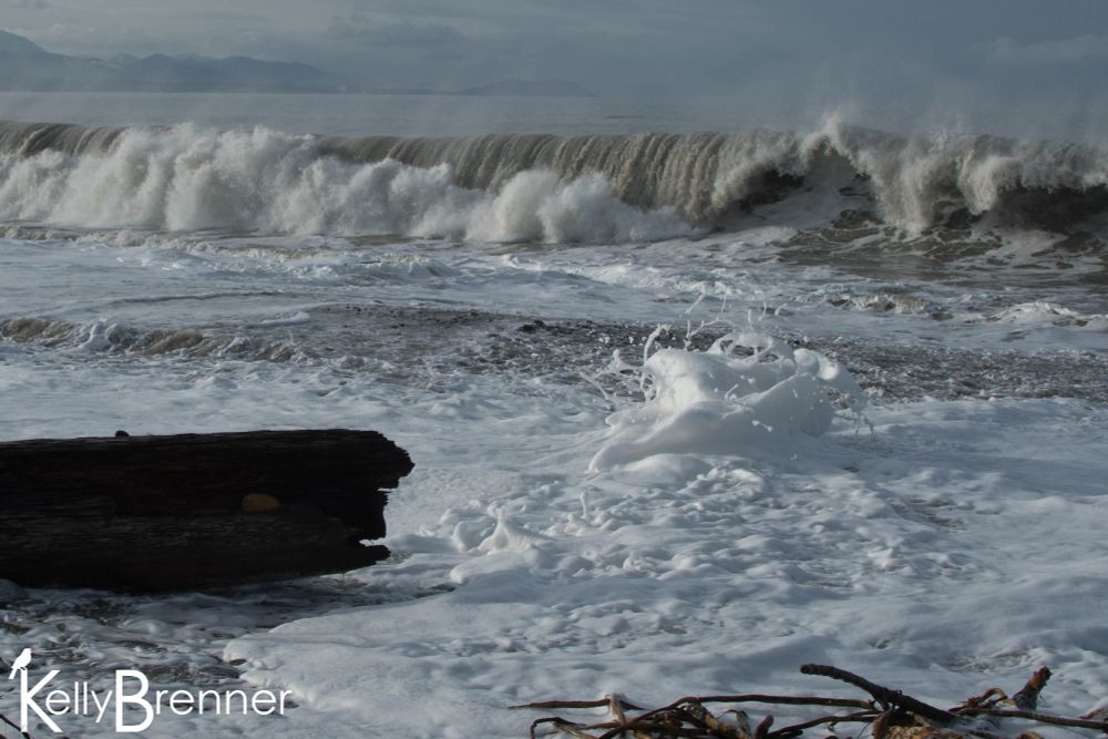 a frothy surf with waves on a shingle beach with driftwood and washed up kelp, mountains in the distance