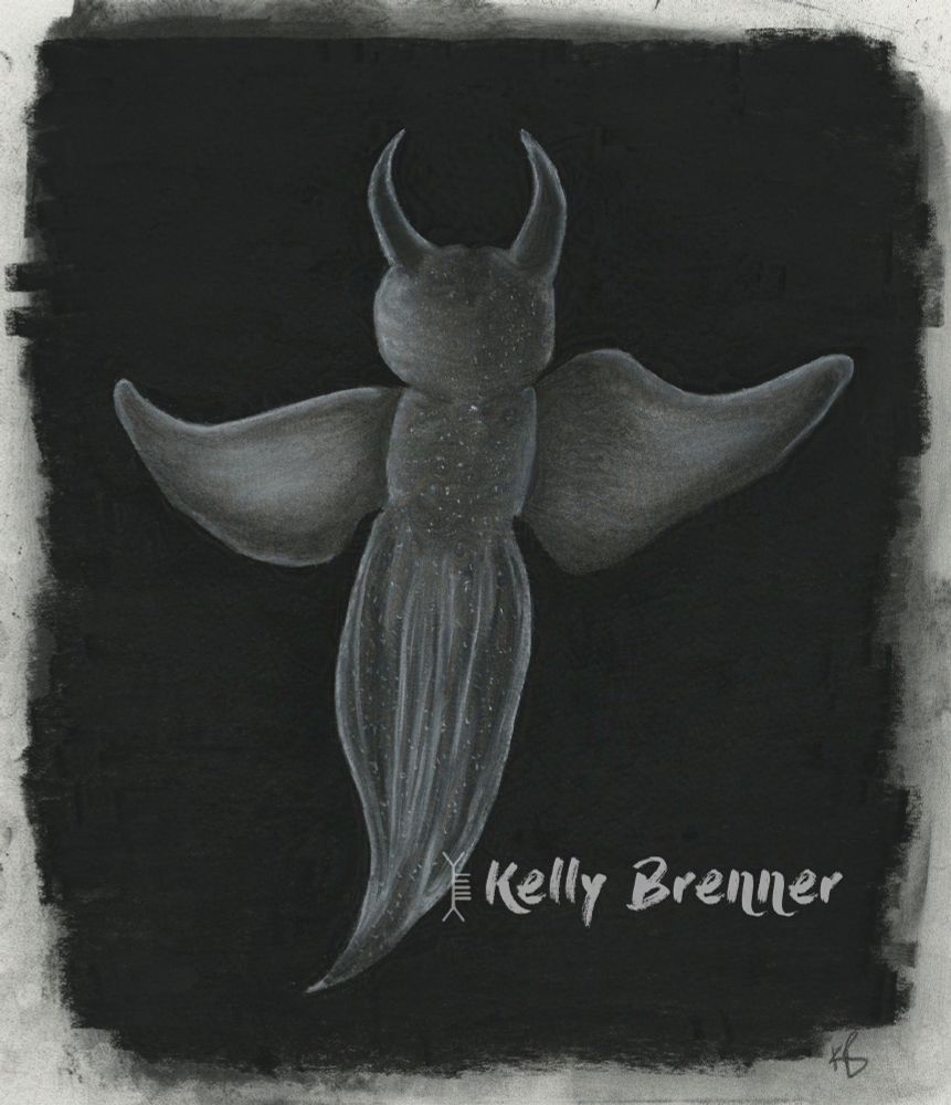 a charcoal illustration of a sea angel which is a sea slug with wings and devil horns, on a deep black background