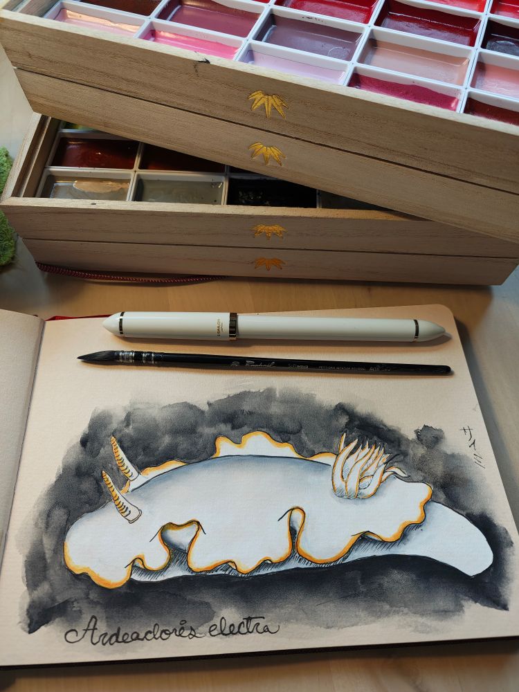 A watercolor and gauche illustration of a white nudibranch sea slug with orange trim on a dark background