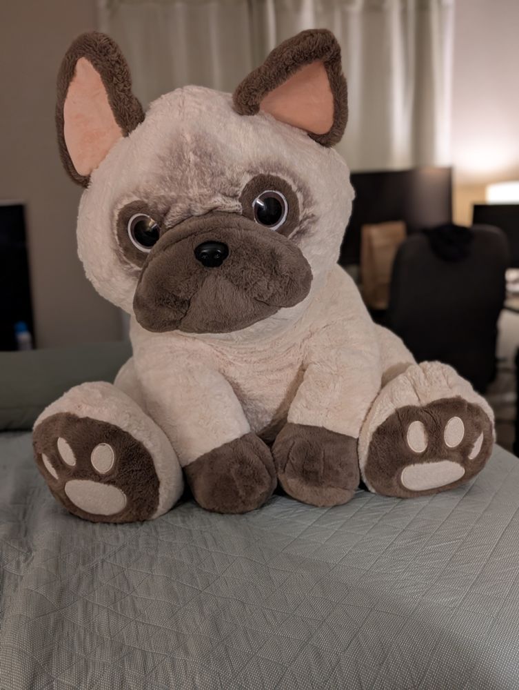 My Frenchie stuffy!!! *Sparkle sparkle*