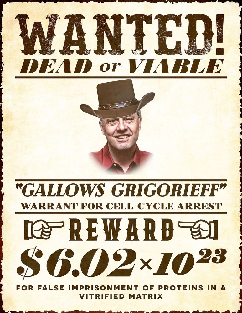 Wanted poster for Niko Grigorieff
WANTED: DEAD or VIABLE
GALLOWS GRIGORIEFF 

Wanted for FALSE IMPRISONMENT OF PROTEINS IN A VITRIFIED MATRIX! 
