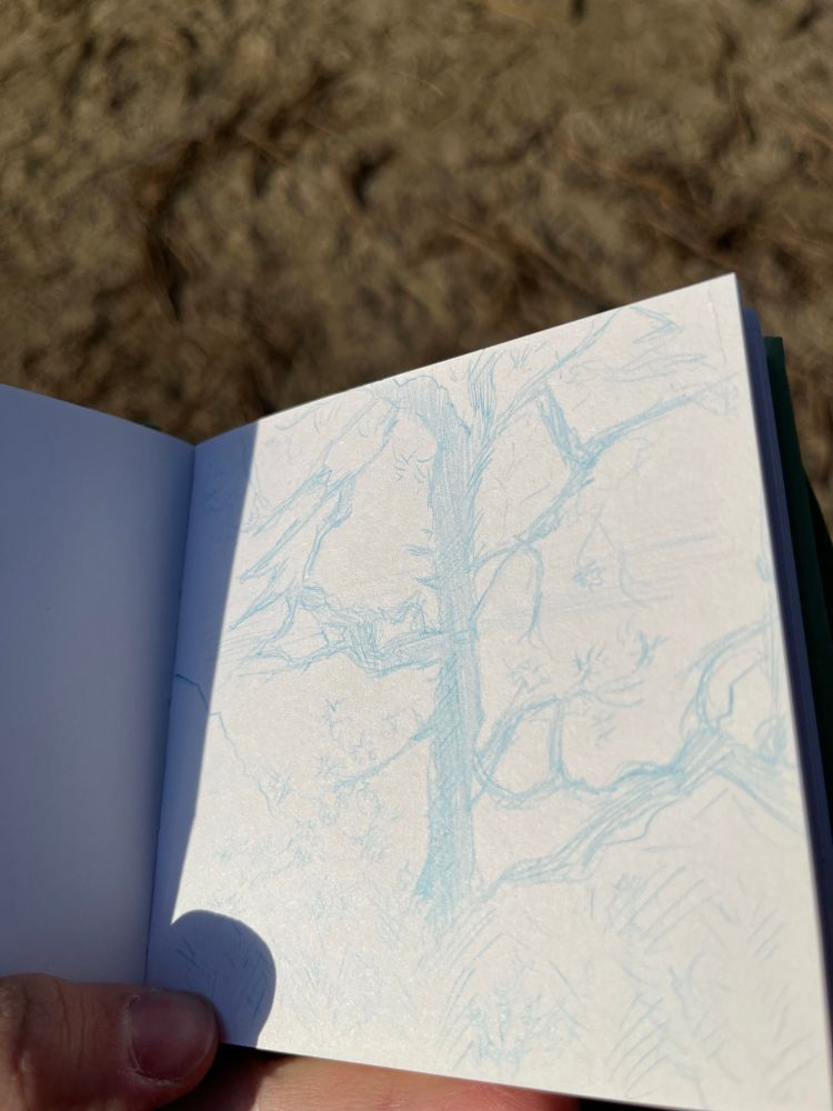 tree doodle