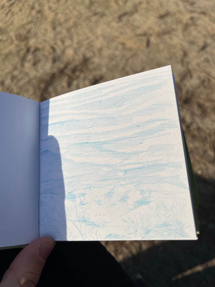 ocean doodle