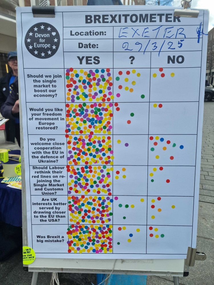 Street poll showing massive support for re-joining EU