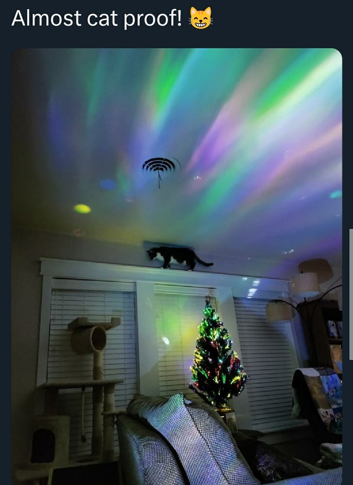 Comment image