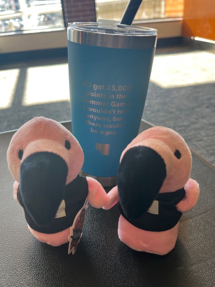 Two little flamingos with AADL summer game shirts and a cup that says “if I got 25,000 points in the summer game I wouldn’t tell anyone but there would be signs”