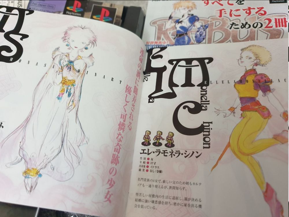 Another snap of the art book and Amano artwork