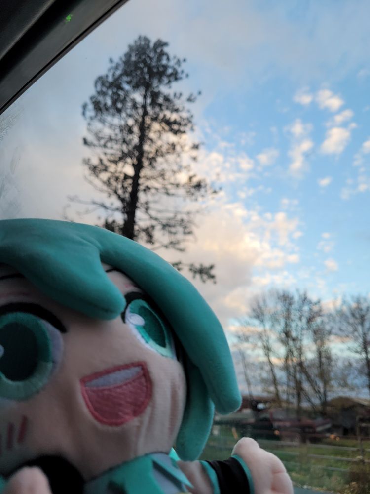 because I got stuck in a ditch for 2 hours