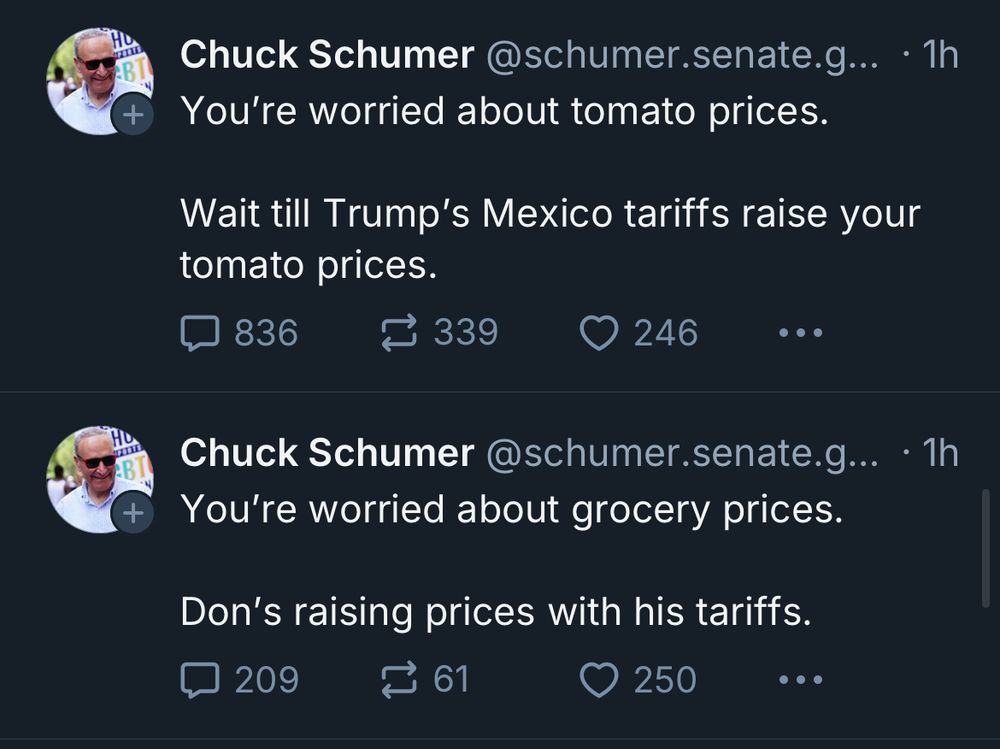 Chuck Schumer posting performative resistance to Trump