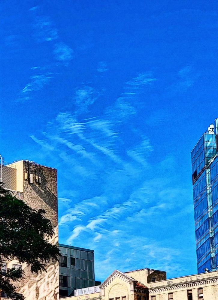 A cloud formation that resembles the chevron shape of vertebrate segmented muscle blocks