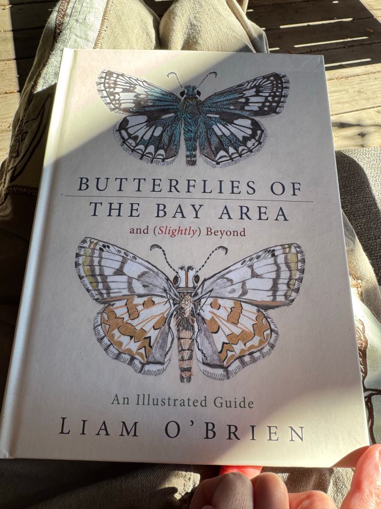 A copy of Butterflies of the Bay Area by Liam O’Brien featuring a large butterfly against a cream background.