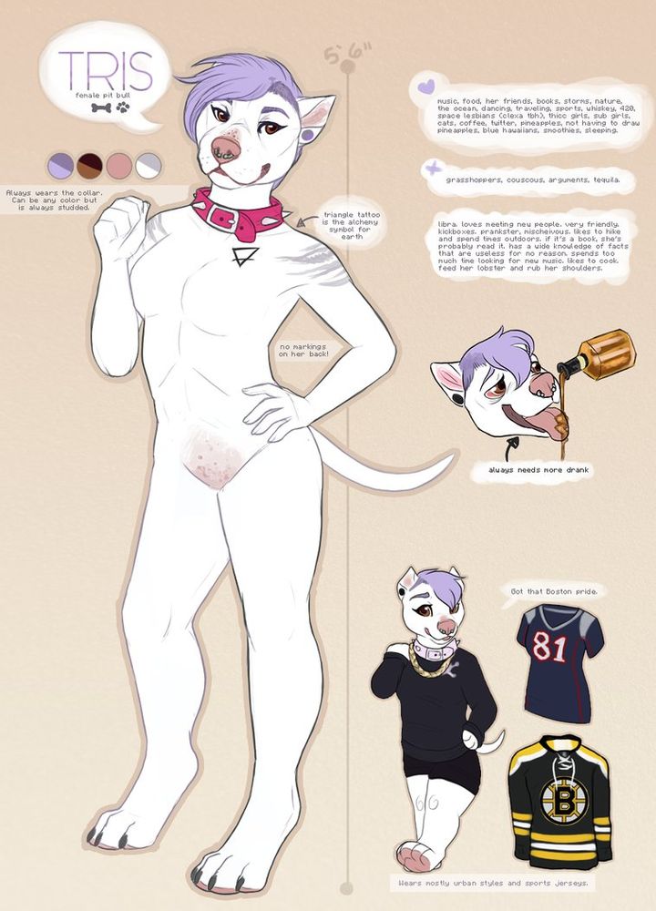 Reference sheet for a female anthro pitbull 