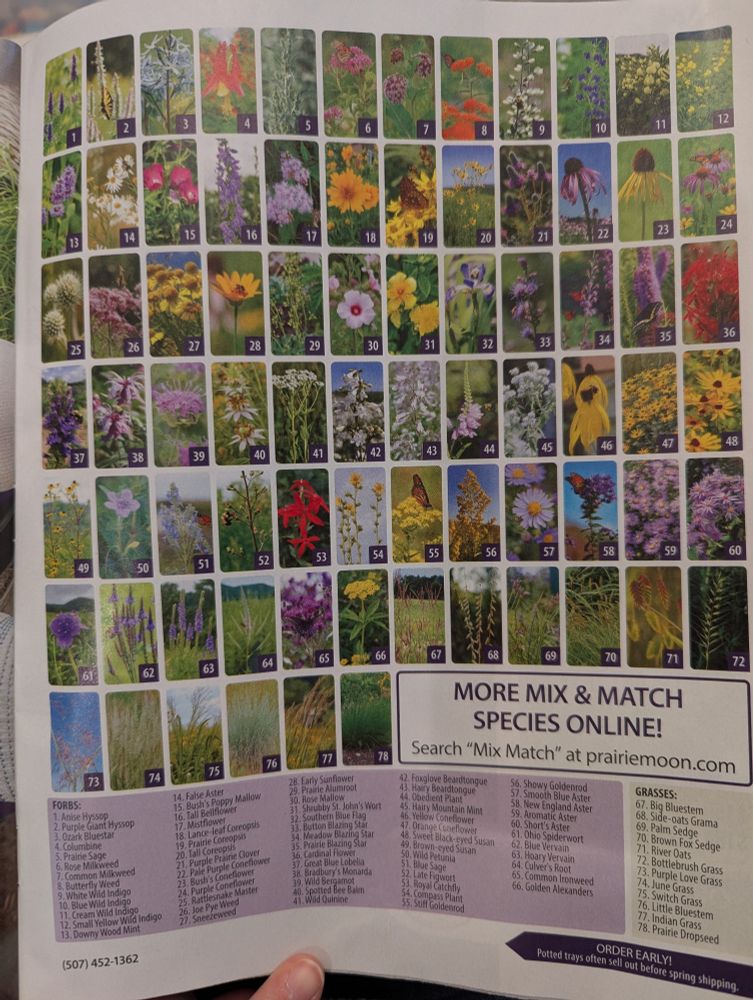A catalog page from Prairie Moon Nursery showing 78 photos of different native flowers and grasses that you can order. There are yellow, red, purple, pink, white, and orange flowers of all shapes and sizes.
