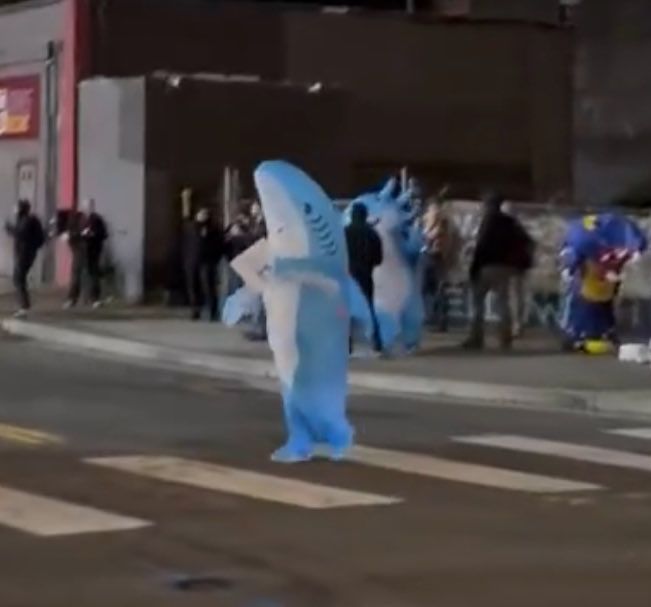 A Blahaj shark, of the Ikea variety, spotted walking free in a Portland and spreading trans rights!