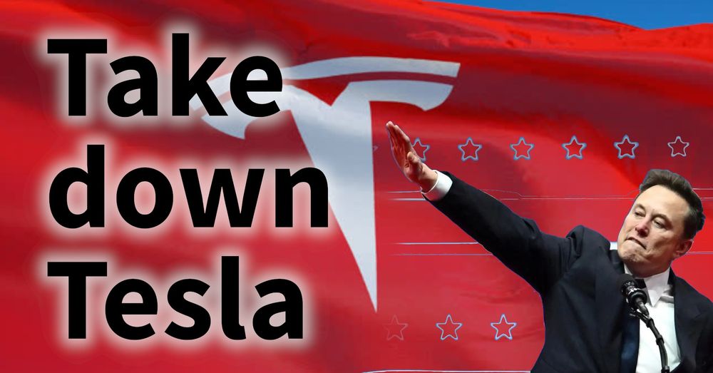 The words "Take Down Tesla" and a picture of Elon Musk doing a Hitler salute