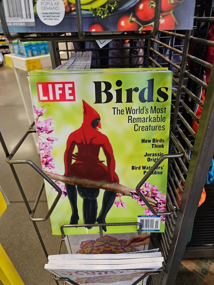 Pulsar having been photoshopped onto a magazine about birds, sitting on a redbud branch with his back turned to the viewer, his huge leaking dick dangling down below.