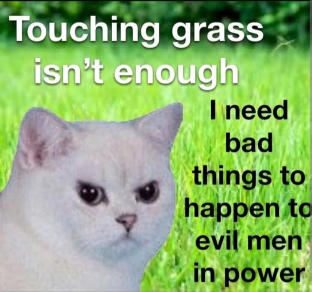 Meme of a cat with angry eyebrows saying "Touching grass isn't enough, I need bad things to happen to evil men in power"