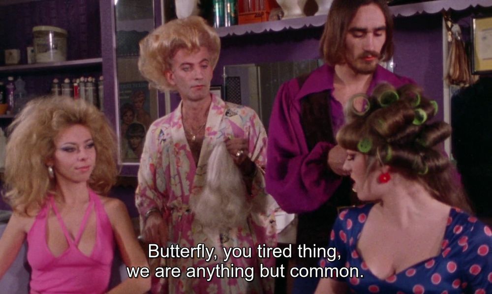Butterfly, you tired thing, we are anything but common.
