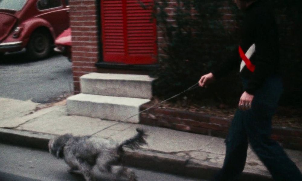 Entirely innocent, a dog out for a walk.