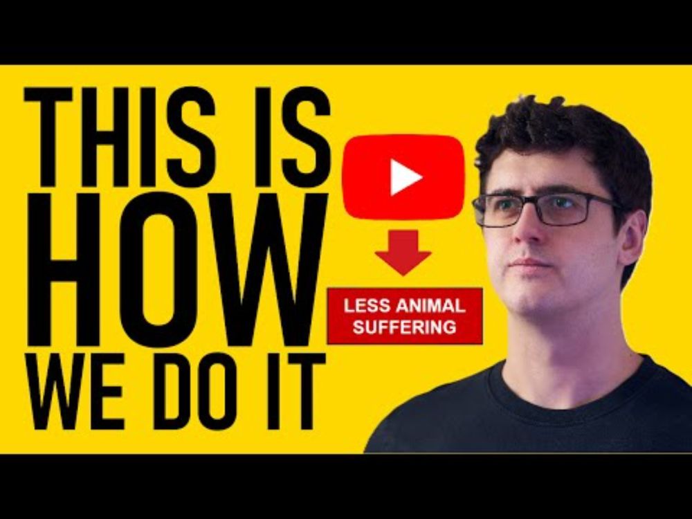 How To Save Animals On The Internet