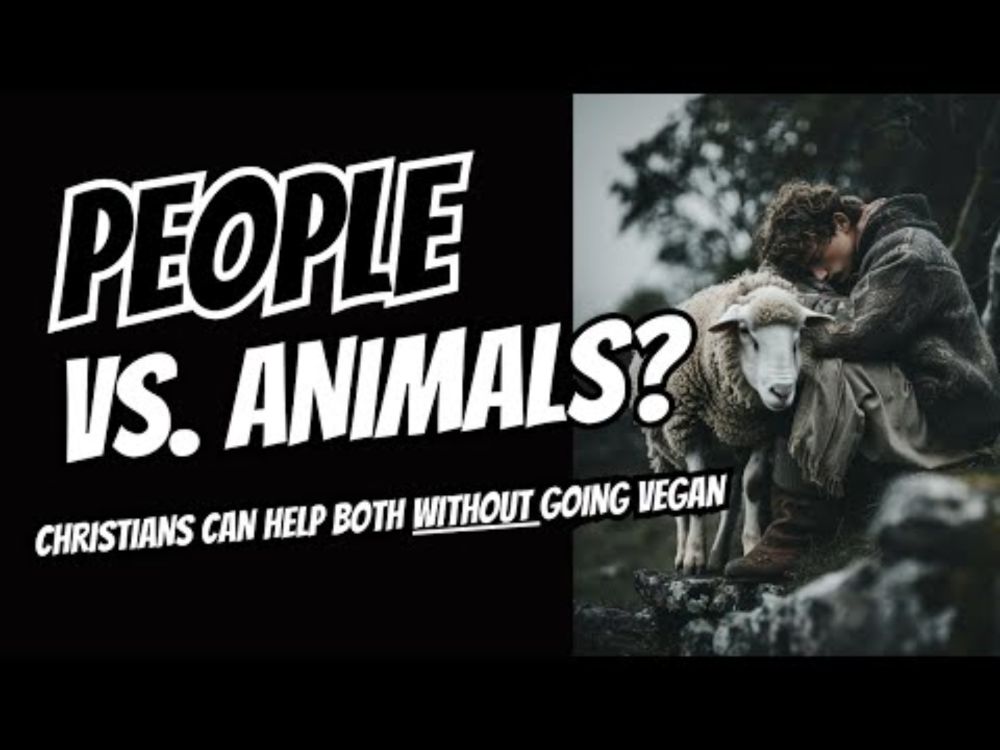 People vs. Animals? Help Both WITHOUT Going Vegan - Christian Expert Explains