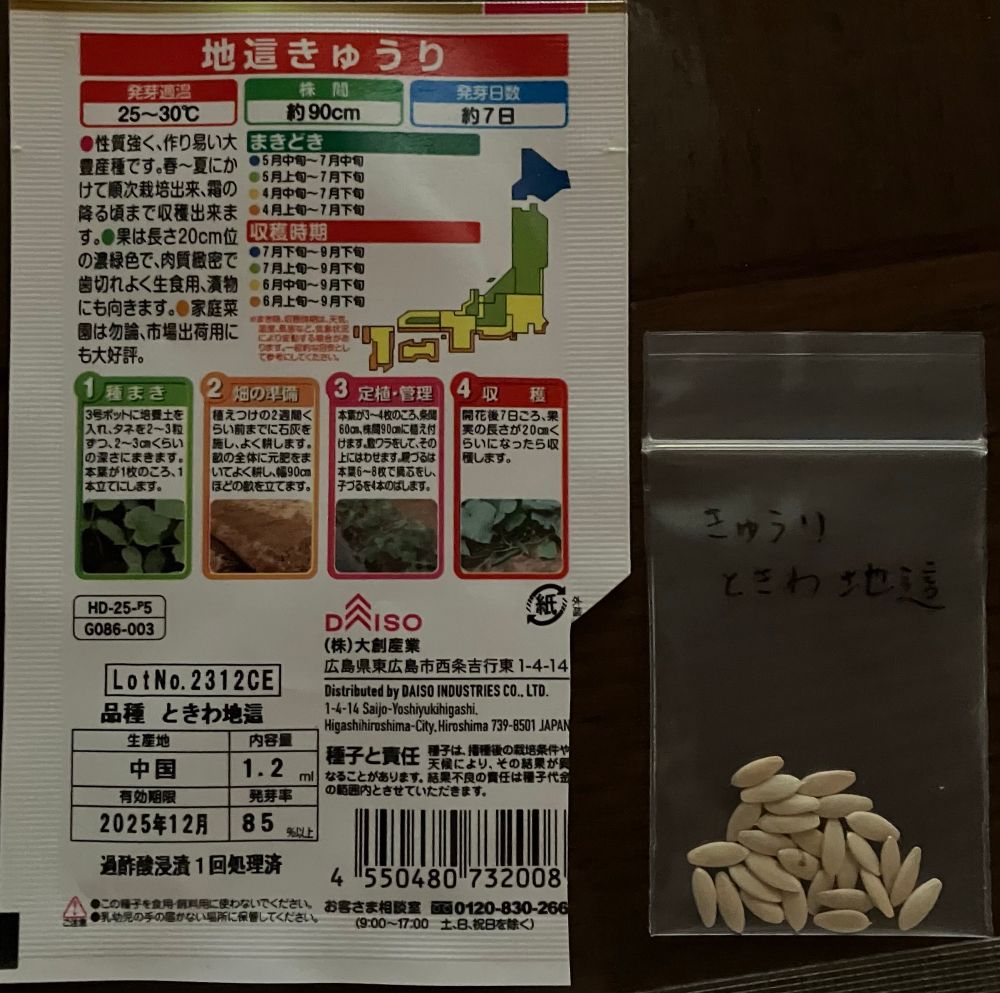 カボチャみたいなのを想像してたけど、予想以上に小さくて細長かった。