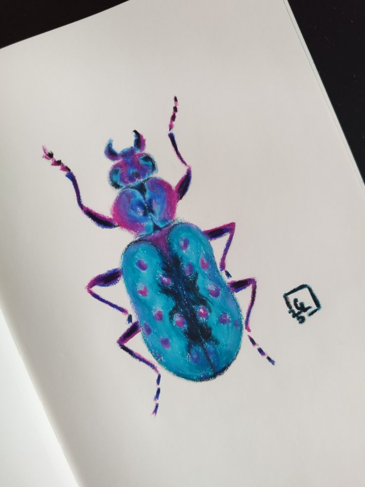 Illustration colorée d'un insecte irisé, tons bleus et roses.