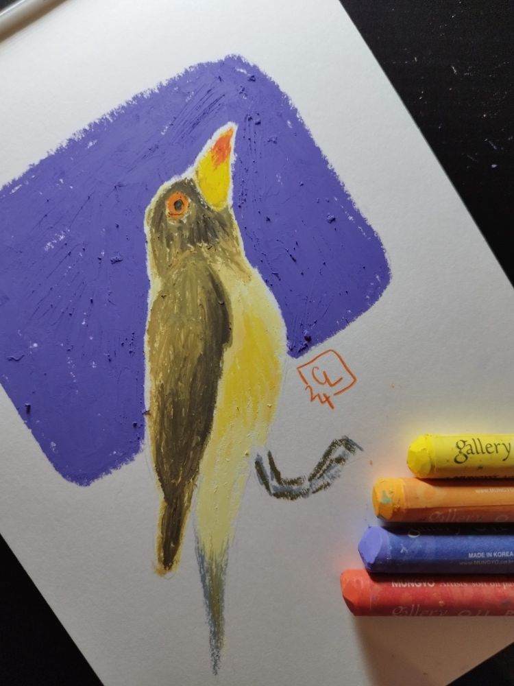 Illustration colorée  de l'oiseau piqueboeuf