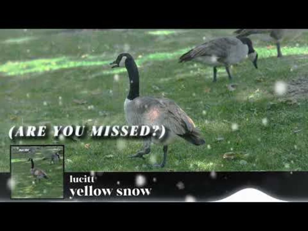 lucitt - Yellow Snow (Official Lyric Video)