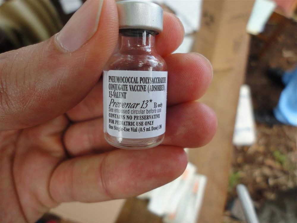 A picture of the Prevenar 13 pneumococcal conjugate vaccine vial, held in a person's hand.