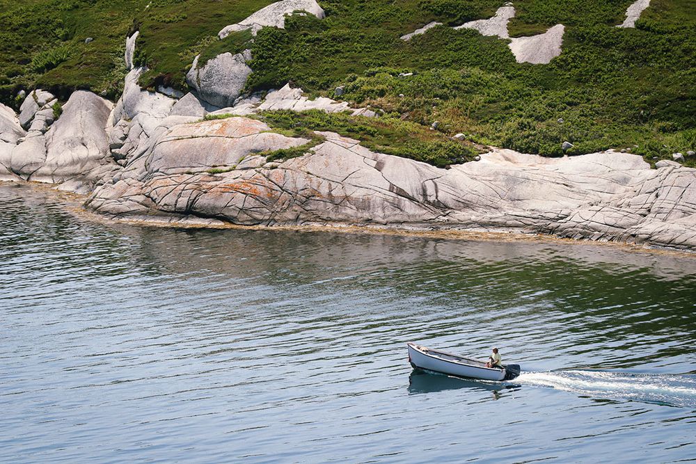 Small motorboat driving through a narrow straight. Rocky island in the background, covered in scrub. A lone man pilots the boat with two dogs on on board.