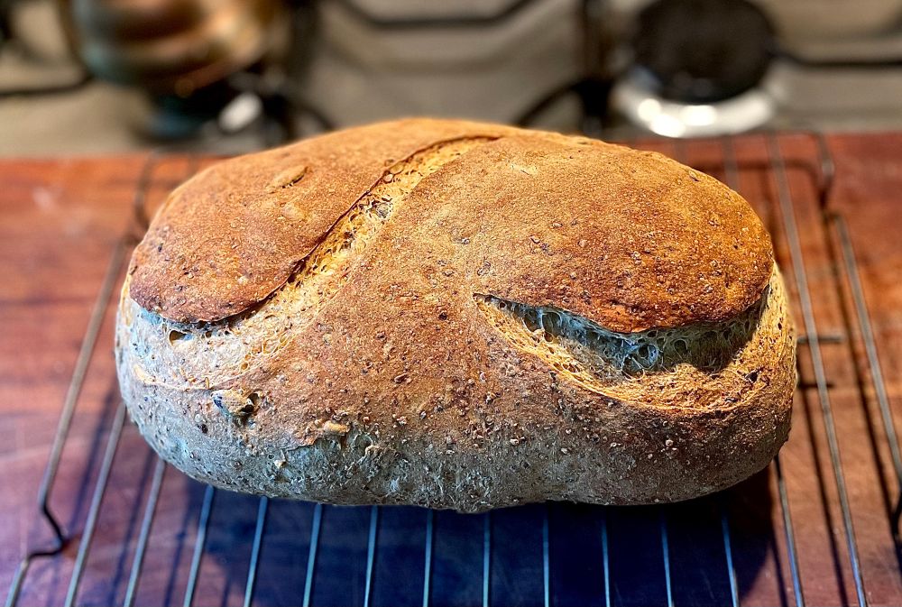 A deeply golden loaf of sourdough sits on a cooling rack. A deep scrolled S has been cut into the top before baking and the bread has risen and cooked uniformly and without any tears or lumps. 