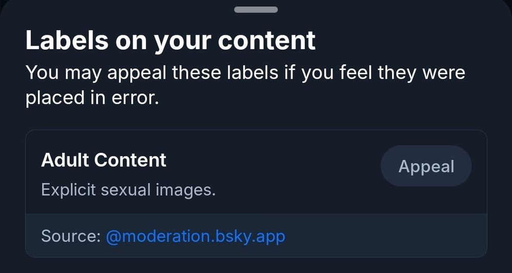 Notice from Bluesky's moderation team that the cover art contains "explicit sexual images."