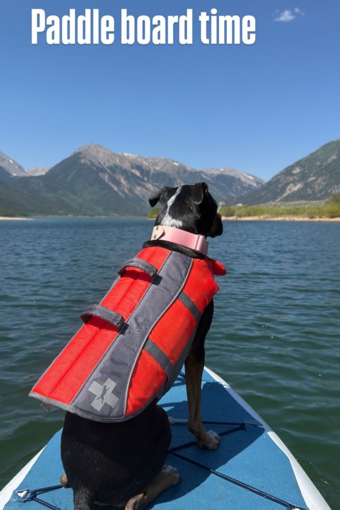 Lorelai on a paddle board at Twin Lakes, CO