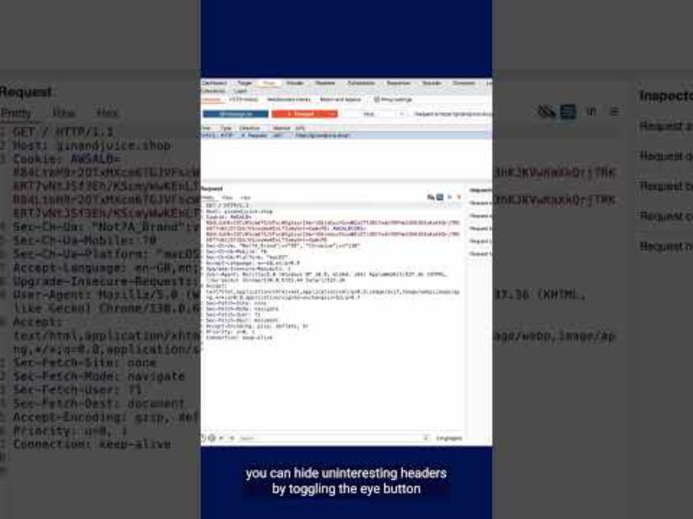 Customize which HTTP request headers appear in the message editor in Burp Suite Professional