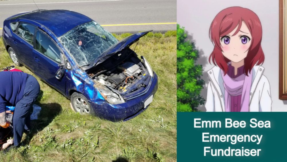 Help Emm Bee Sea through Car Crash and Emergency Medical!, organized by Lily Blue