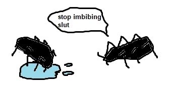 a roach is drinking from a puddle. another one is standing near it and says "stop imbibing slut"
