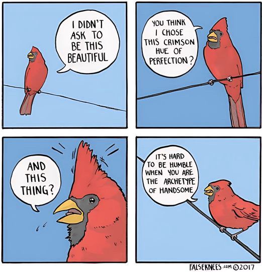 4 panel comic about how handsome Cardinals are