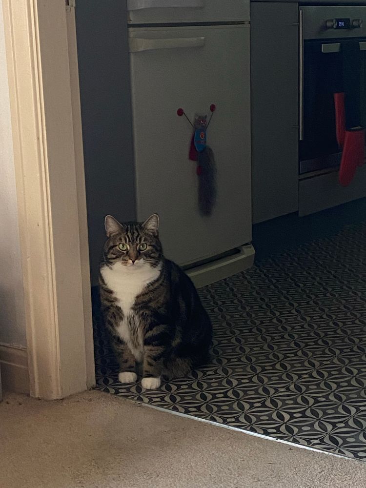 Waiting for his tea