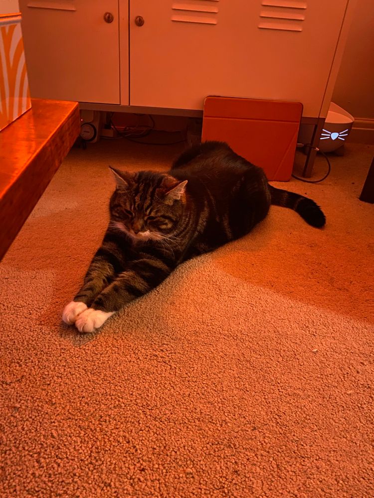 Pedro!