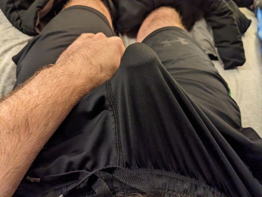 My gym shorts, straining to contain my erection.