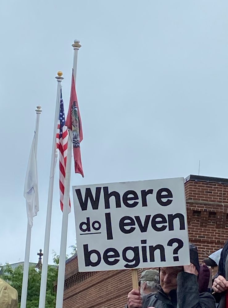 Protest sign at a No Kings rally that says “Where do I even begin?” 