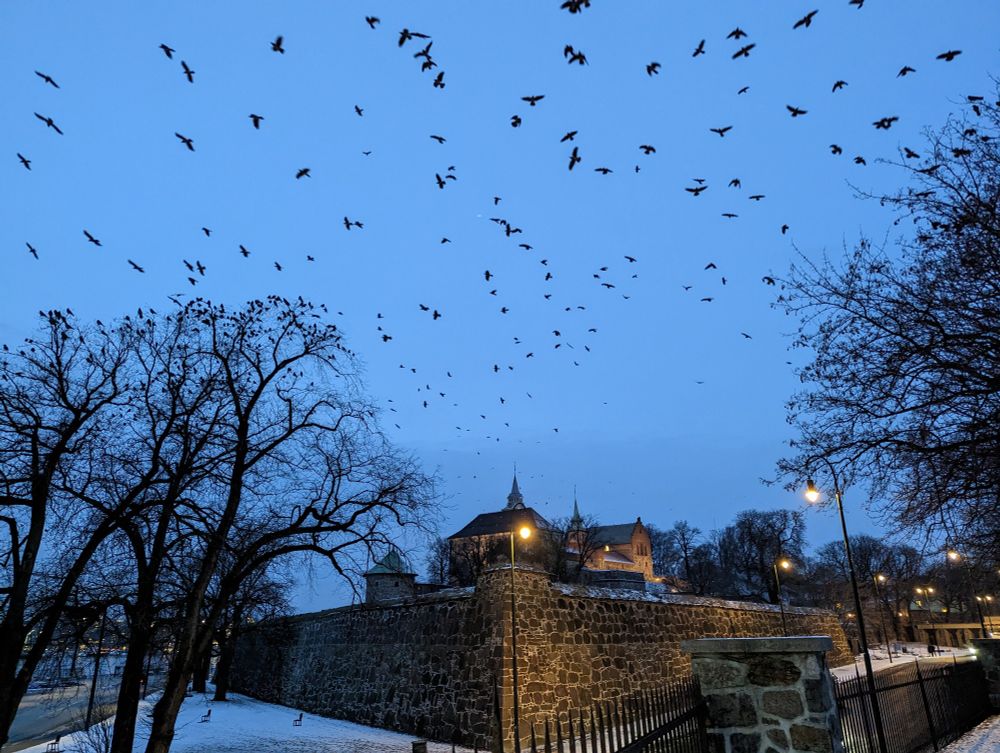 An old fortress with a lot of birds flying above it.
